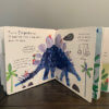 [kaya holistic], Hello Dinosaur Book