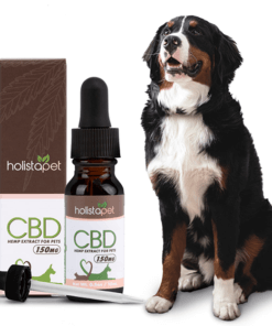 Holistapet oil with dog