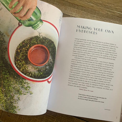 Earth Medicine Inside Spread 2