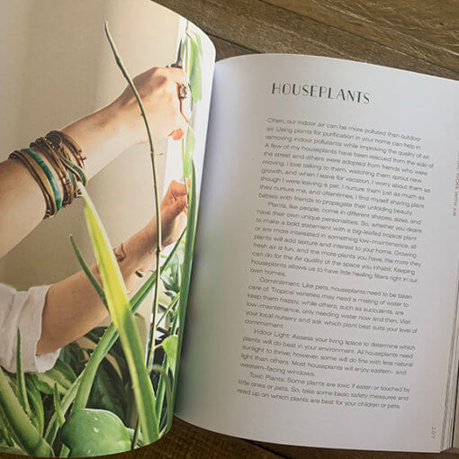 Earth Medicine Inside Spread 4