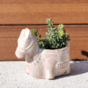 Terracotta pot horse