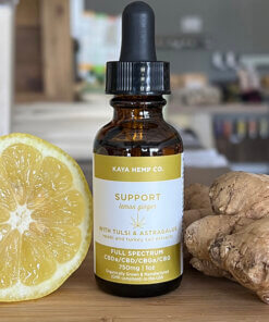 kaya lemon ginger support tincture 2