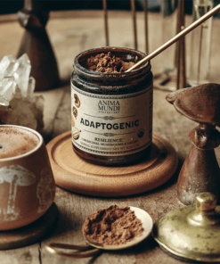 Anima Mundi Adaptogenic resilience with 7 mushrooms and cacao