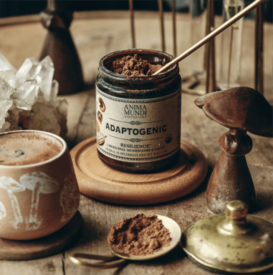 Anima Mundi Adaptogenic resilience with 7 mushrooms and cacao