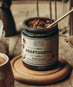 Anima Mundi Adaptogenic resilience with 7 mushrooms and cacao tight