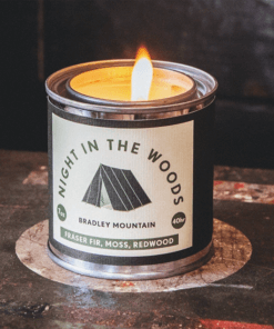 night in the woods candle
