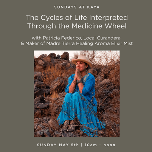 Patricia Medicine Wheel 2