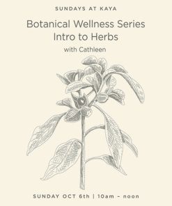 Botanical Wellness Intro to Herbs