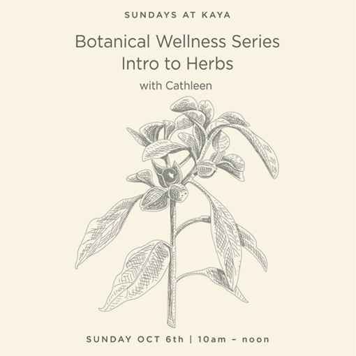 Botanical Wellness Intro to Herbs