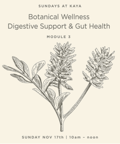 Botanical Wellness Digestive Support & Gut Health Module 3