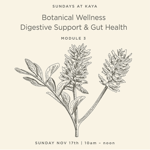 Botanical Wellness Digestive Support & Gut Health Module 3