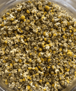 Chamomile