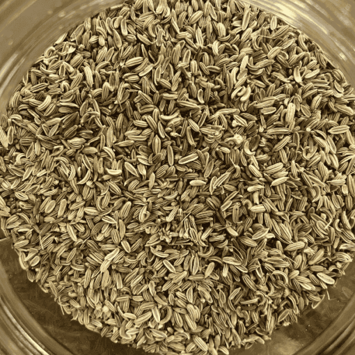 Fennel Seed 2