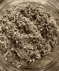 Mugwort