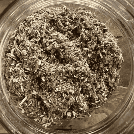 Mugwort