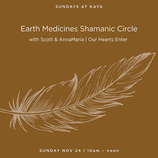 Earth Medicines Shamanic Circle NEW