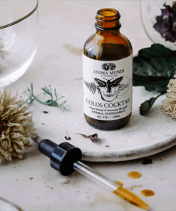 Anima Mundi Colds Cocktail