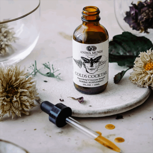 Anima Mundi Colds Cocktail