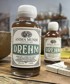 Anima mundi dream 2
