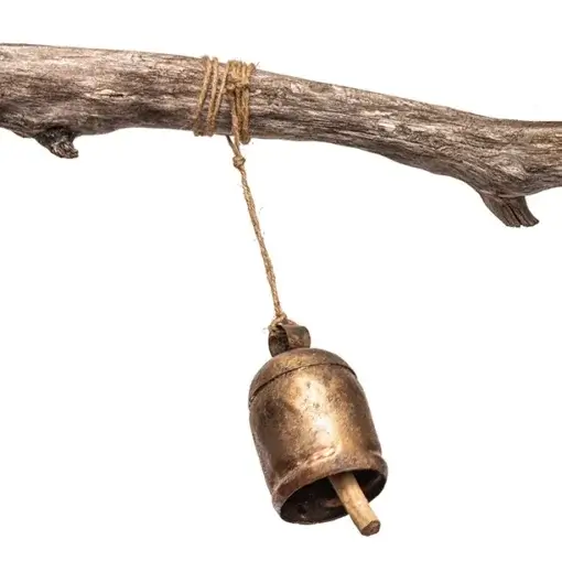 Indika-Desert-Bell-Size-10-India-4_1000x