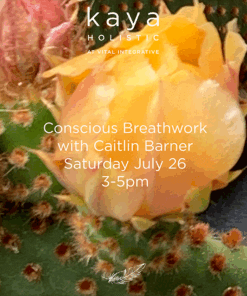 Conscious Breathwork with Caitlin _July 26