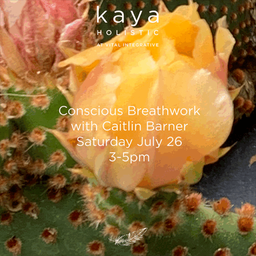 Conscious Breathwork with Caitlin _July 26