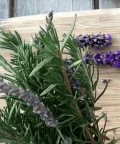 Herbal Inspirations June 21_2