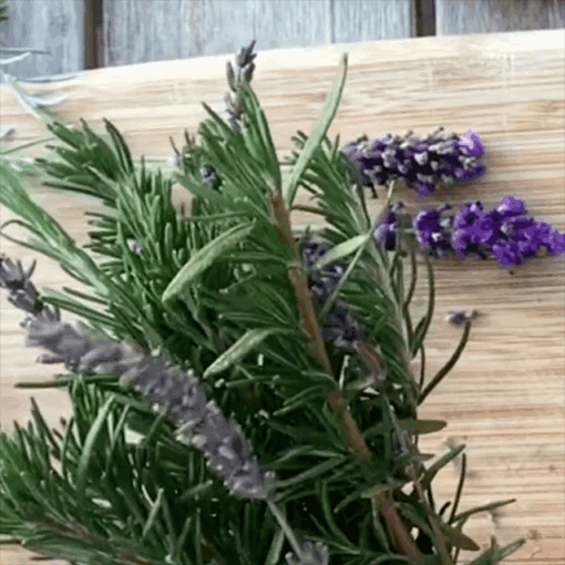 Herbal Inspirations June 21_2