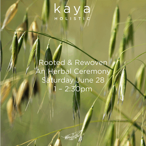 Herbal Inspirations June 28