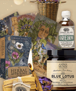 Ritual Kit oracle deck palo santo blue lotus 2