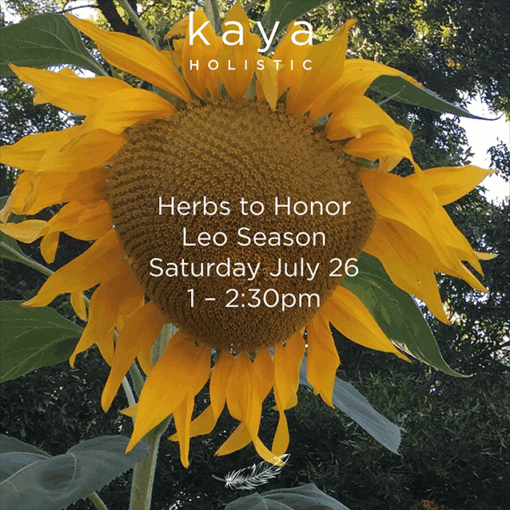 Herbal Inspirations July 26 herbs of leo