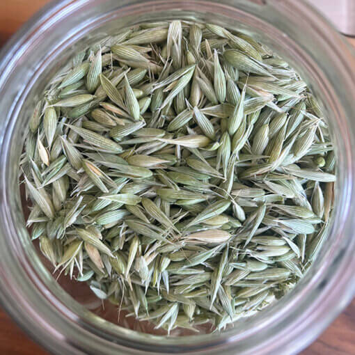milky oats oat tops