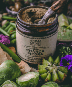 Anima Mundi Chanca Piedra 1