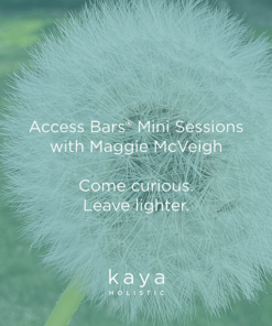 access bars_Sat Feb 7.