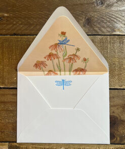 Color Box notecards_dragonfly