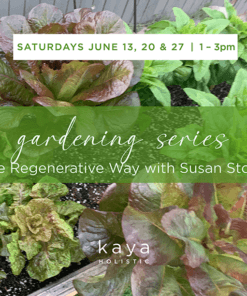 June 13 Saturday Gardening with Susan4