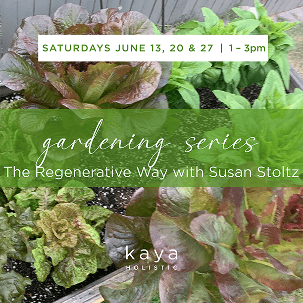 June 13 Saturday Gardening with Susan4