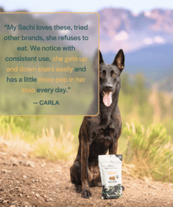 pet releaf dog testimonial with photo hip and joint chews