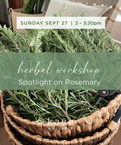 Sept 27 Sunday herbal workshop_rosemary with felice 3