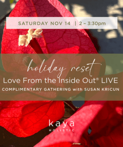 Nov 14 love from the inside out with Susan