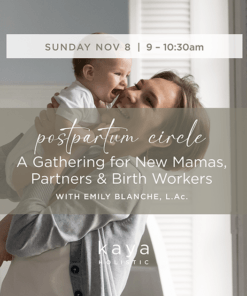 Nov 8 Postpartum Circle with Emily