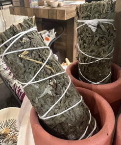 mugwort-black-sage.jpeg