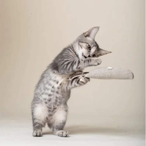 Hem 2p Catnip Toy for Cats