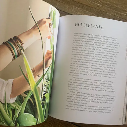 Earth Medicine Inside Spread 4