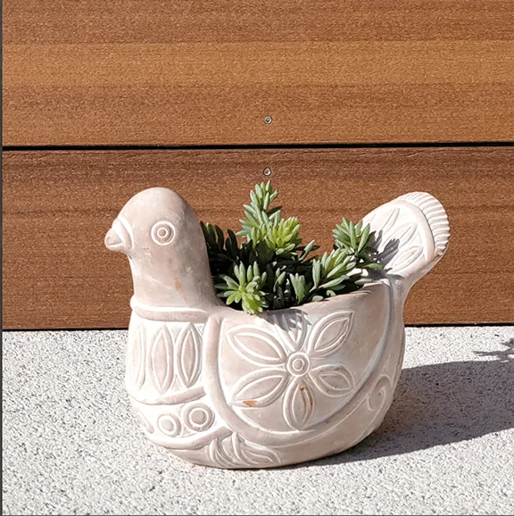 Terracotta pot dove