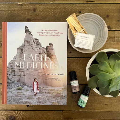 Earth Medicines Book Bundle
