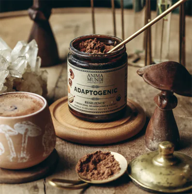 Anima Mundi Adaptogenic resilience with 7 mushrooms and cacao