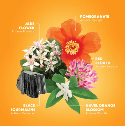 Radiant Energy Elixir 2