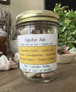 Digestive aid capsule