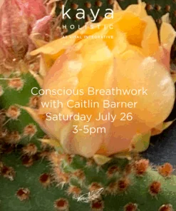 Conscious Breathwork with Caitlin _July 26